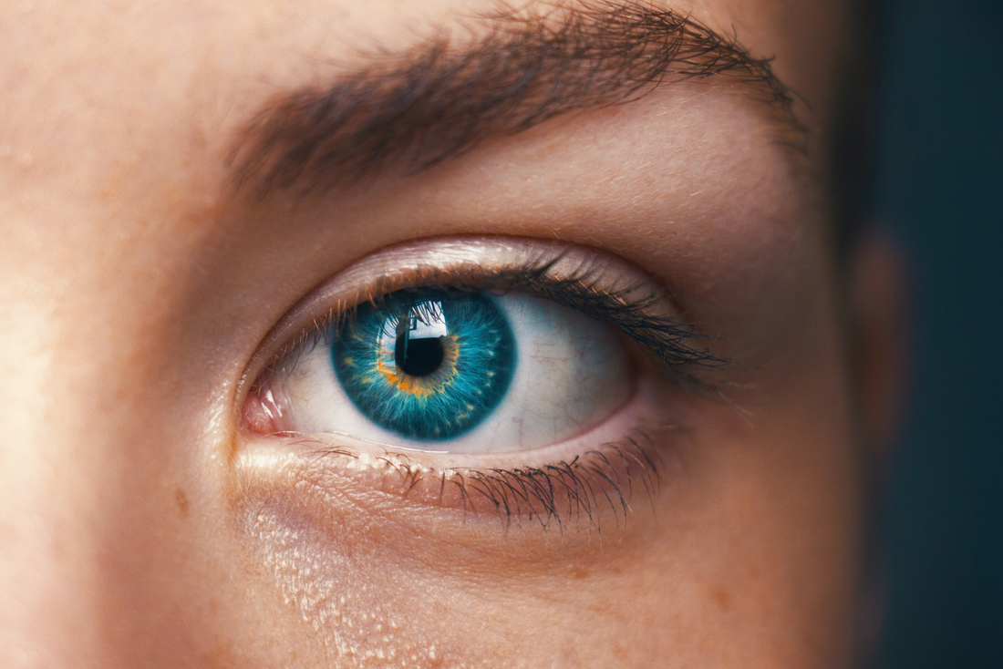 14 Fun, Interesting Facts About Eyes